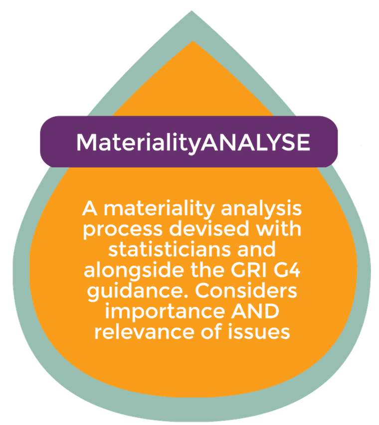 MaterialityANALYSE - A materiality analysis process devised with statisticians and alongside the GRI G4 guidance. Considers importance AND relevance of issues